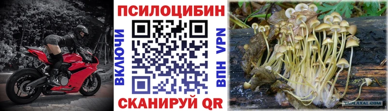 Галлюциногенные грибы GOLDEN TEACHER  даркнет сайт  Тбилисская 